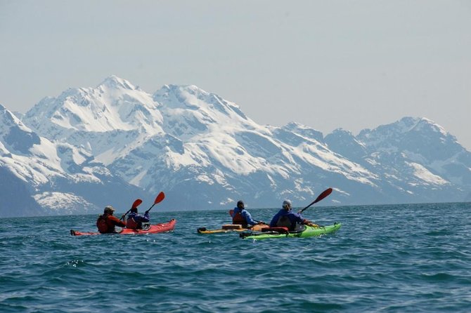 Resurrection Bay Kayaking Adventure - Kayaking With Knowledgeable Guides