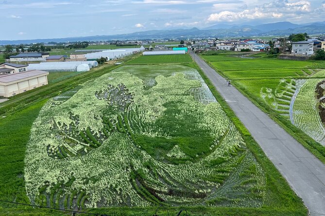 Rice Paddy Art Half Day Tour in Aomori - Inclusions