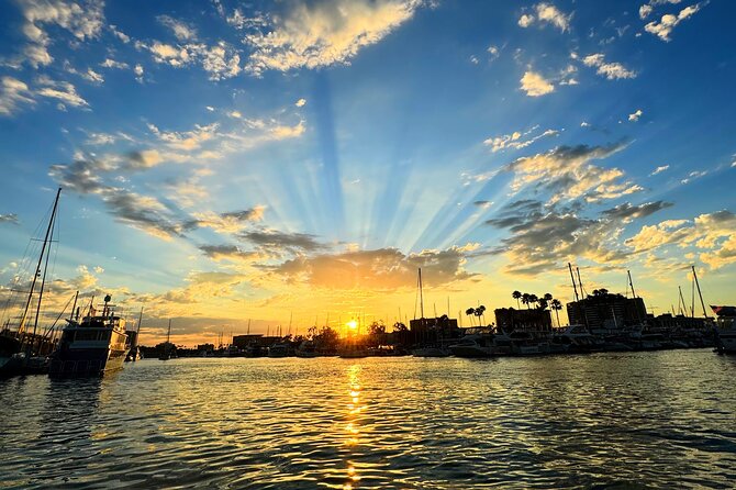 Romantic Luxury Boat Cruise With Wine Cheese Sea Liontours - Encounter Majestic Sea Lions and Dolphins