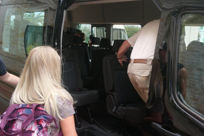 Round Trip Cruise Shuttle Houston to Galveston Port for 10 Guests - Transportation Features and Comfort