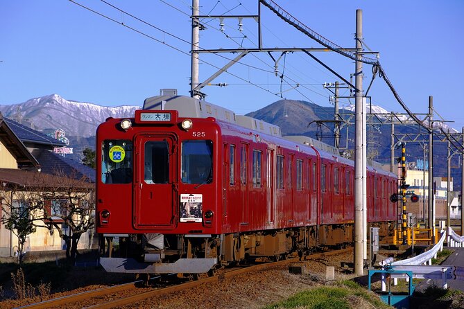 Sakura 1 Day Tour With Charter Train and Boat From Nagoya - Important Information