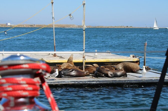 San Diego Private Morning Sail up to 12 Guests - Whats Included in Your Private Morning Sail
