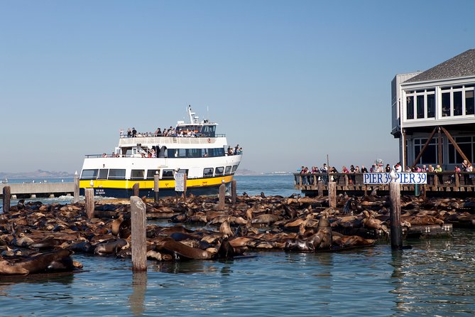 San Francisco Bay Cruise - Ticket Information and Access
