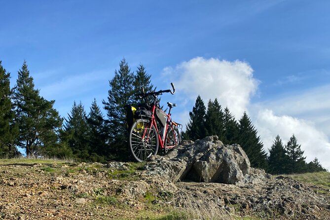 San Francisco E-bike Tour on Scenic Trails - Meeting and End Points