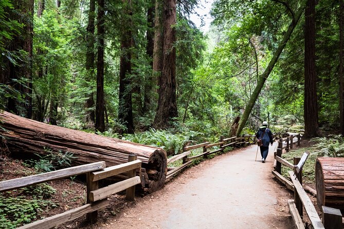 San Francisco, Golden Gate, Sausalito and Muir Woods Private Tour - Explore the Iconic Golden Gate Bridge