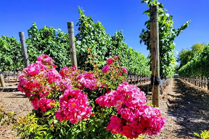 Santa Barbara Wine Tasting Day Tour From Los Angeles - Scenic Journey Along the Pacific Coast
