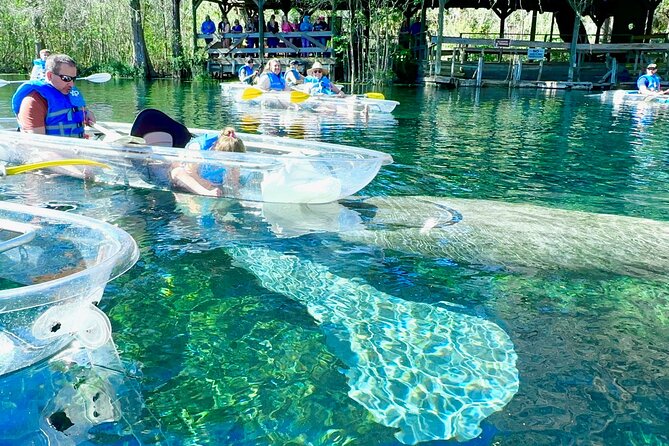 Sassy's Silver Springs Kayak and Paddleboard Tours - Kayak and Paddleboard Options