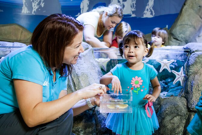 SEA LIFE Michigan Aquarium Admission Ticket - Diverse Aquarium Displays