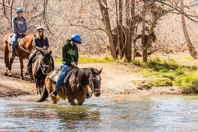 Sedona Horseback Rides at Dead Horse Ranch With River Crossing - Experience Highlights