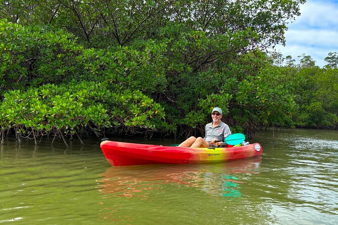 Self Guided EcoTour: Clear/Standard Kayaks -Bonita Springs - Meeting Details