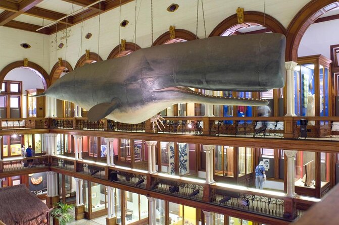 Semi Private Honolulu Historical Tour - Tour Highlights and Itinerary