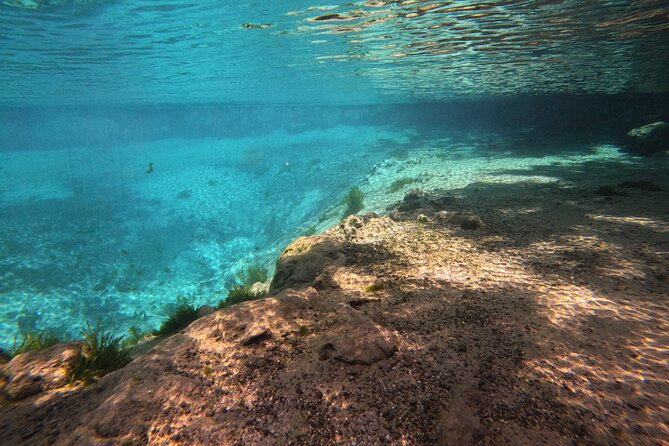 Semi-Private Manatee Swim Tour With In-Water Guide/Photographer - Onboard Experience