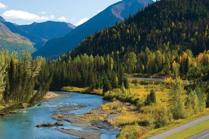 Seward to Anchorage Wildlife Adventure - Itinerary and Schedule