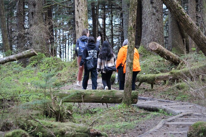 Shared Mindfulness in Wilderness Tour From Alaska - What to Expect on the Tour