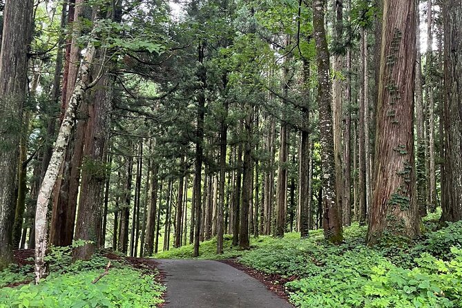 Shirakawago Gujo Hachiman and Hida Takayama One Day Tour | Nagoya - Meeting and Departure