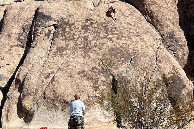 Sightseeing Adventure Tour of Joshua Tree National Park - Meeting Details