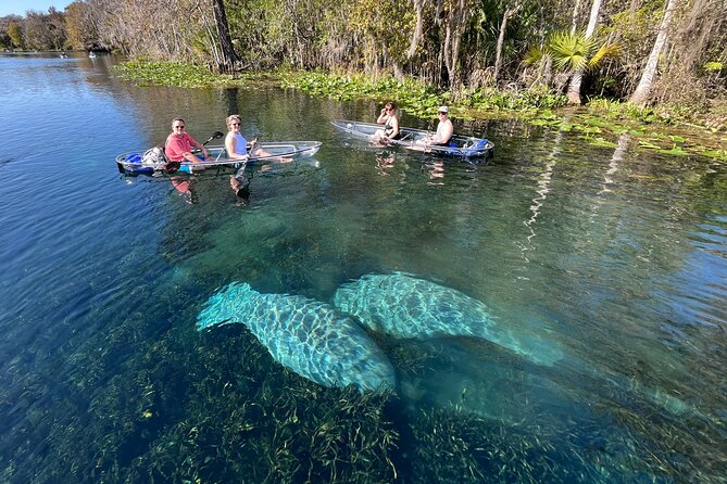 Silver Springs: Clear Kayak Wildlife Adventure - Inclusions and Costs