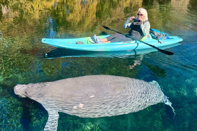 Silver Springs Premium Florida Manatee & Wildlife Experience - Meeting Point and Logistics