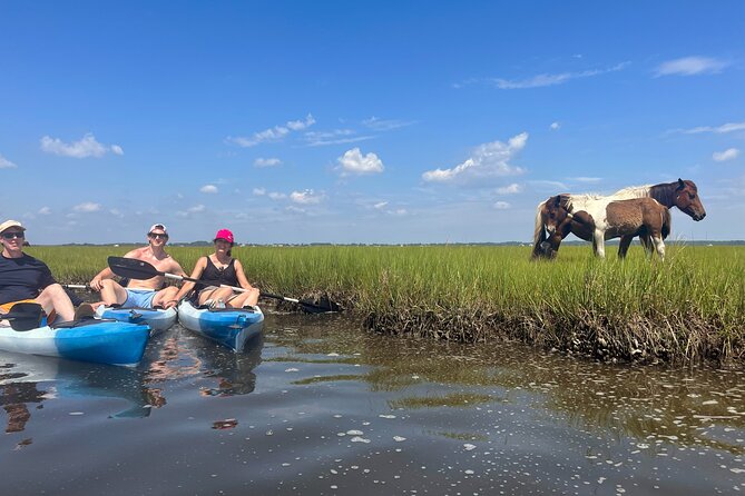 Single Sit on Top Kayak Rental at Assateague Island, MD - Included Items for Your Kayak Adventure