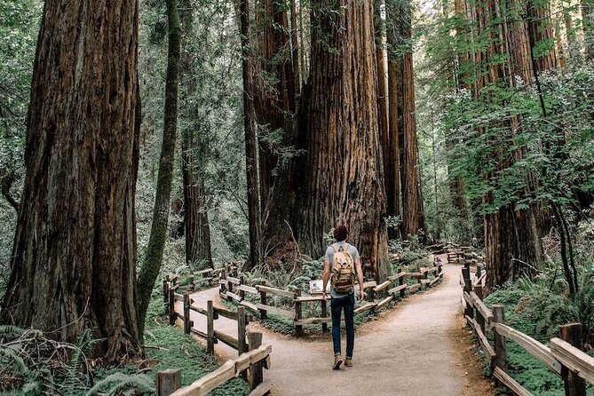 Skip The Bus: Muir Woods & Sausalito by Minivan - Scenic Views on the Golden Gate Bridge