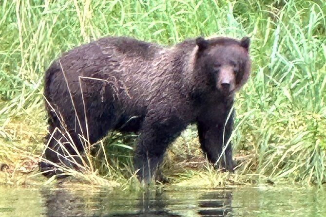 Small Group Boat Tour of Sitka - Inclusions and Amenities
