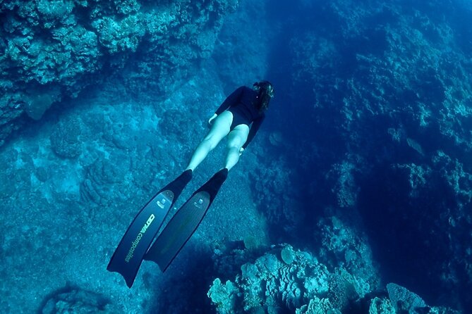 Small Group Diving Activity in Miyakojima - Inclusion Details