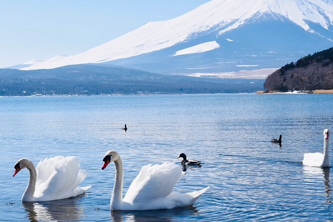 Small Group Mt. Fuji, Sengen Shrine and Lake Kawaguchi Tour - Inclusions