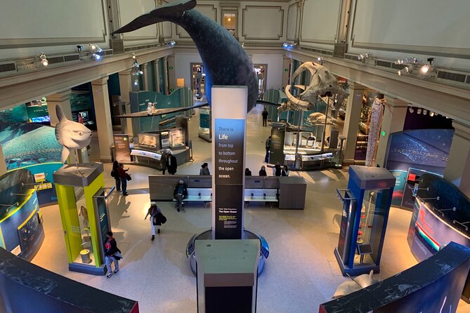 Smithsonian National Museum of Natural History With Guided Tour - Meeting Point and Accessibility