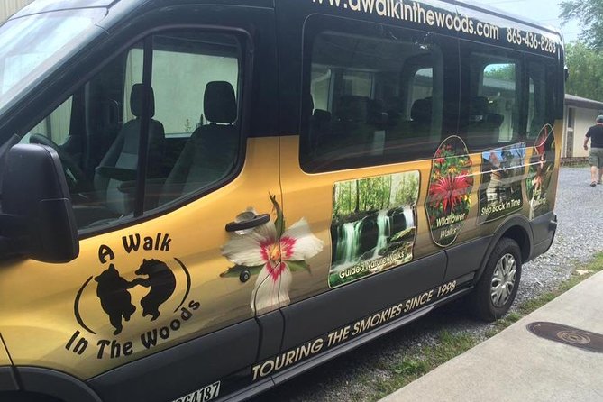 Smoky Mountain Guided Scenic High Van Tour - Whats Included in the Tour