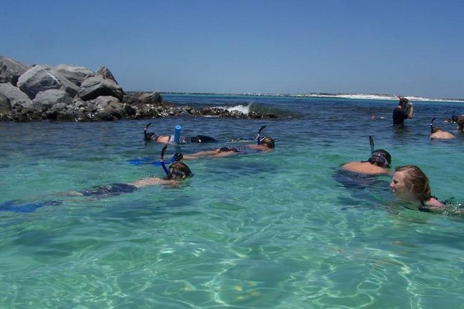 Snorkeling, Shelling & Eco Excursion - Encountering Local Sea Life