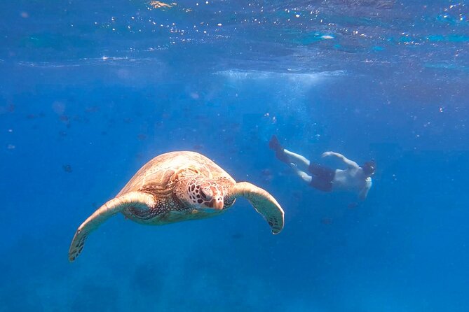 Snorkeling With Turtle/Water Scooter/Paddleboard Adventures Oahu - Inclusions and Amenities