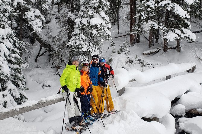 Snowshoe or XC Ski in North Yellowstone (Half Day) - Whats Included in Your Adventure