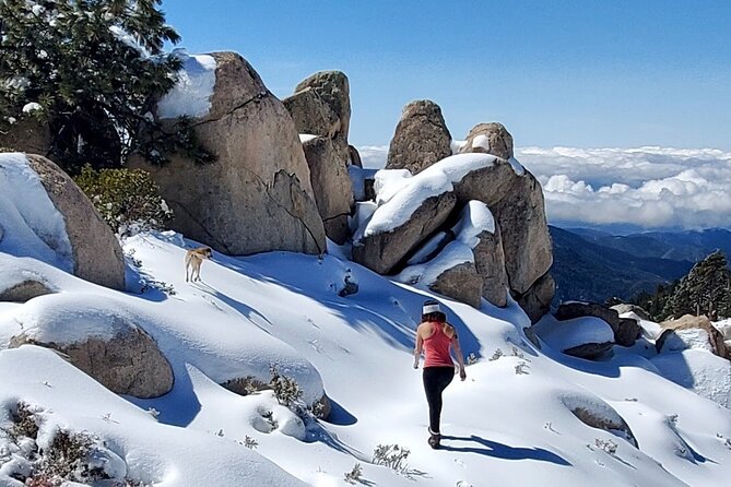 Snowshoe Tour Big Bear Lake With Hot Chocolate - Hot Chocolate and Other Inclusions