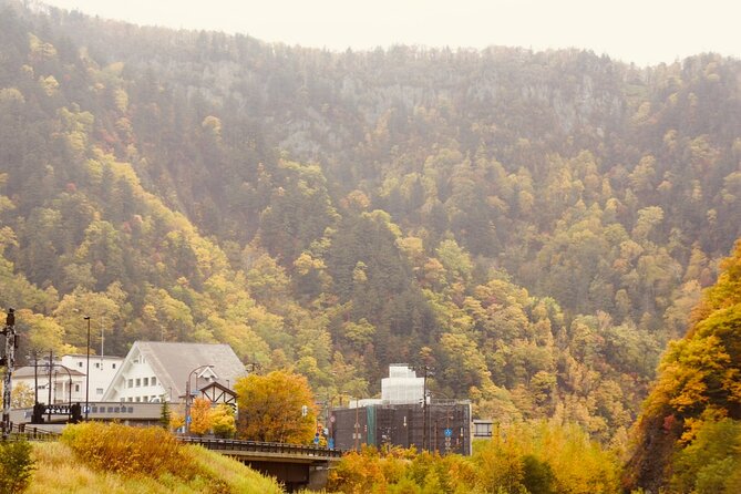 Sounkyo Gorge Autumn Leaves Ice Pavilion Day Tour by Private Car - Admiring the Autumn Leaves
