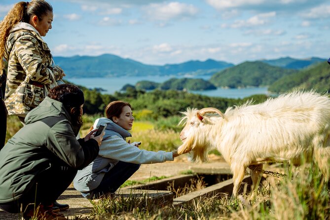 Spectacular Terraced Rice Field Walking Experience - What to Expect