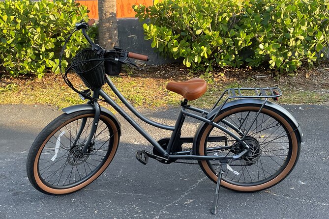St Pete E-Bike Rentals - Operating Hours and Availability