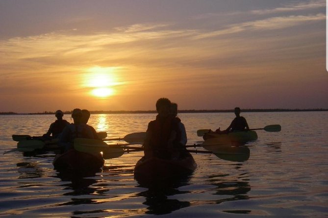 Sunset Kayaking W/ Florida Bioluminescence Combo Tour | Haulover Canal - Highlights of the Experience