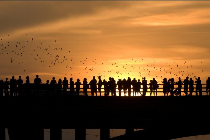 Sunset Skyline Kayak Tour - What to Expect on Your Kayak Tour