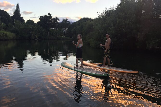 Sunset Stand up Paddle With Photos and Turtles - Paddle With Hawaiian Green Sea Turtles
