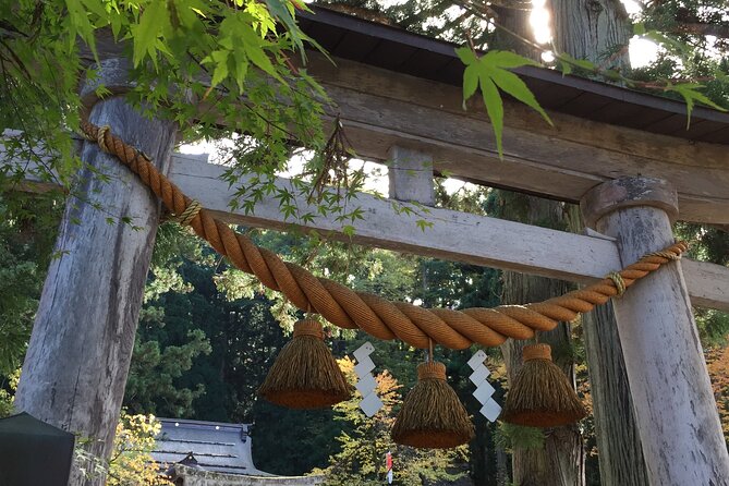Takayama and Shirakawago Private Guided Tour Using Minivan - Meeting and Transportation Details