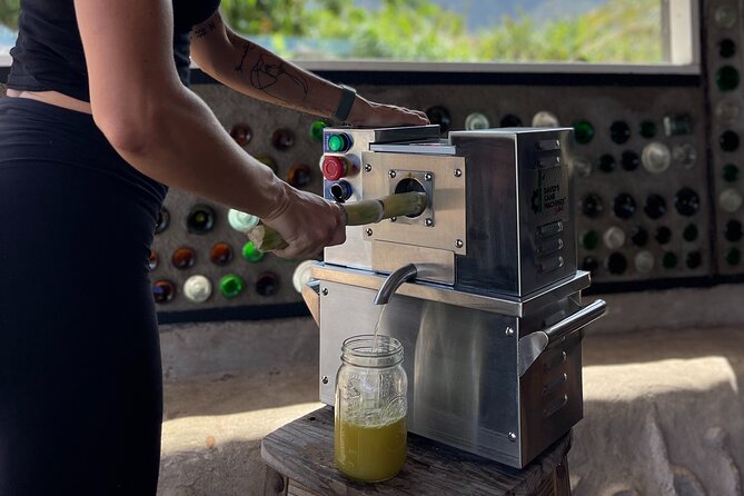 Taste of Hawaii: A Maui Farm Tour - Experience Highlights