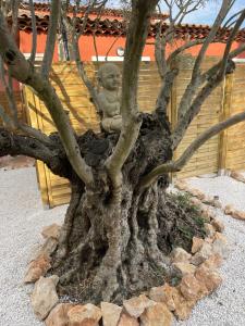 The Beautiful House - Accommodation Options