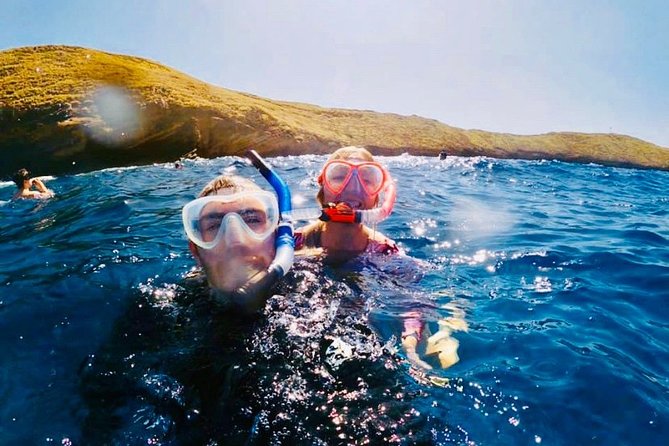 The Best 2 Hour Molokini Express Snorkeling - Meeting and Pickup Information
