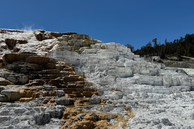 The Grand Yellowstone 3 Day Private Experience From Cody Wyoming - Meeting and Pickup Locations