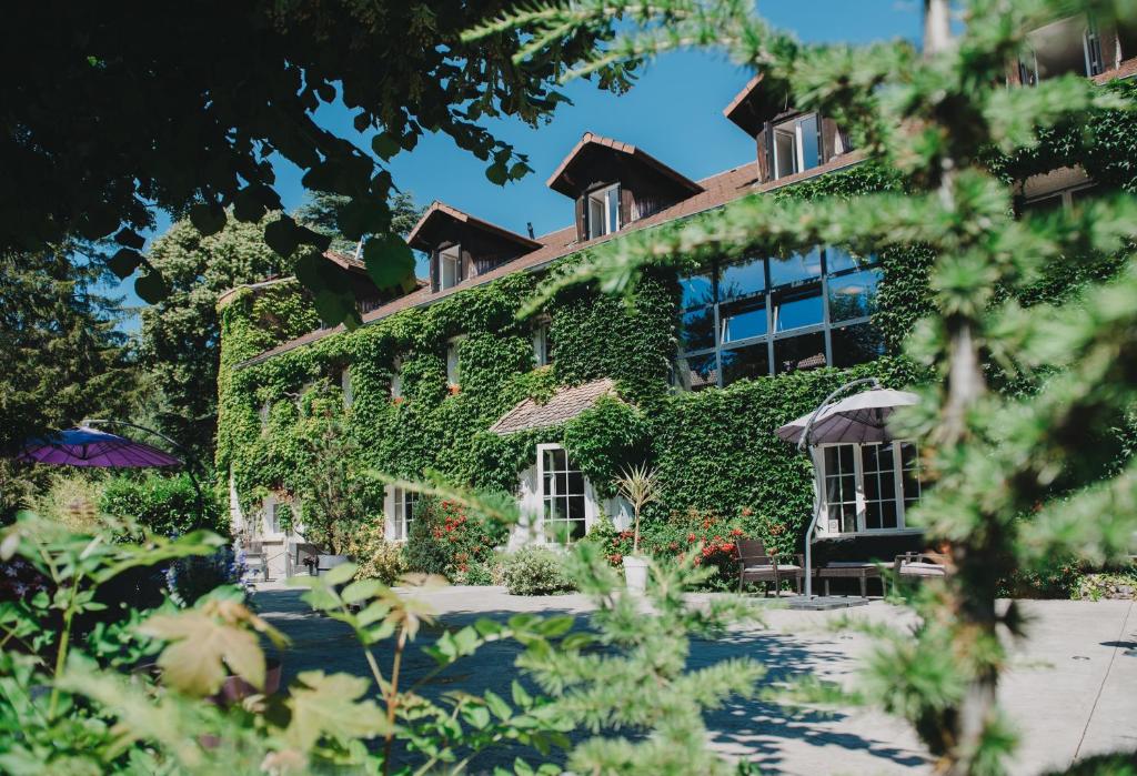 The Olivades - Accommodation and Facilities