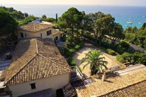 The Pink Laurels - Guest Experiences and Highlights