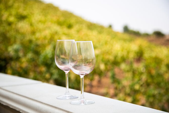 The Temecula Wine Tour From Orange County - What to Expect on the Wine Tour