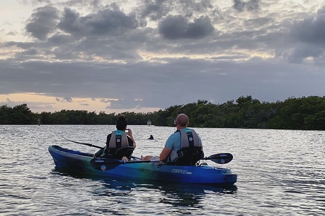 Thousand Islands Mangrove Tunnel & Bio Comb Jelly Sunset Tour - Experience Highlights