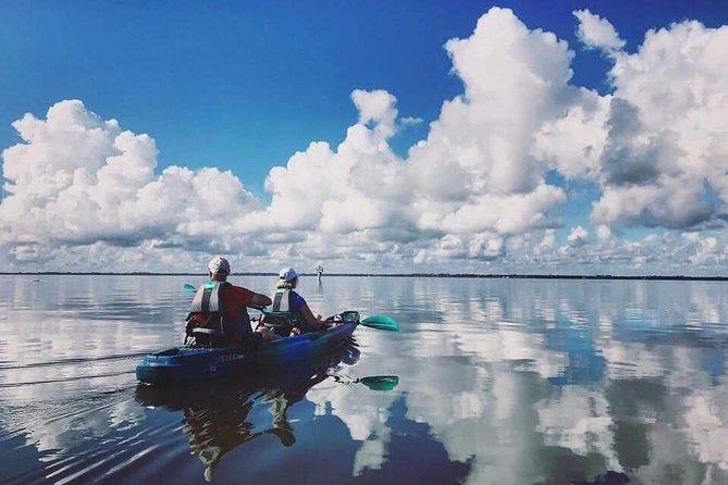 Thousand Islands Mangrove Tunnel Kayak Tour With Cocoa Kayaking! - Wildlife Spotting Opportunities