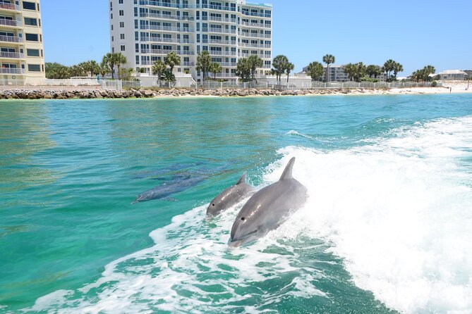 Thriller Speedboat Dolphin Tours in Destin Florida - Exploring the Destin Dolphin Tour